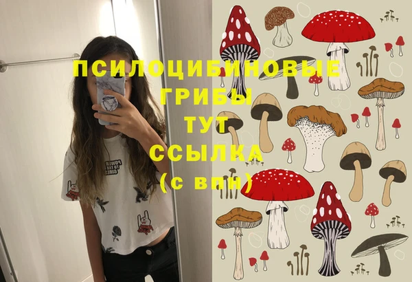 прущие грибы Анива