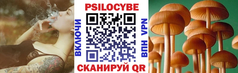 где продают наркотики  mega сайт  Псилоцибиновые грибы прущие грибы  Карабаново 